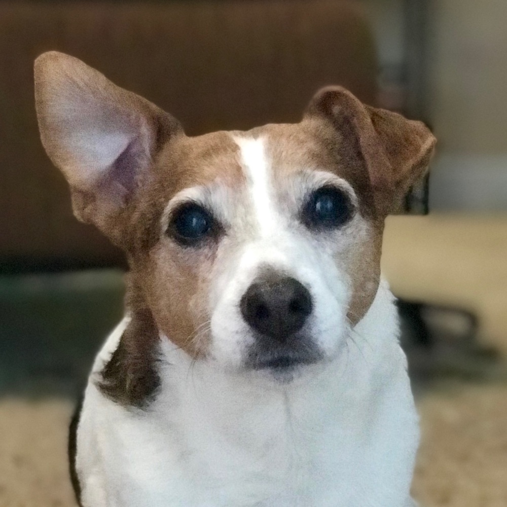 Meet your Posher, Caleb